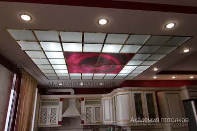 Необычные потолки: 77 вариантов как креативно украсить потолок в зале,  спальне, ванной частного дома или квартиры | Houzz Россия