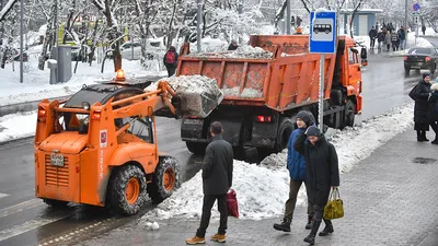 Погода на июль 2023: будет ли жара в Москве — Секрет фирмы