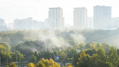 Гидрометцентр назвал условие наступления замечательной погоды в Москве ::  Новости :: ТВ Центр