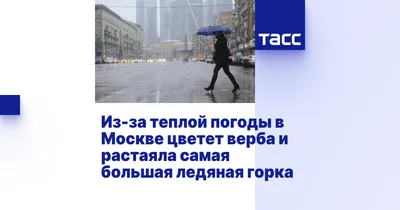 Синоптик назвал сроки окончания летней погоды в Москве - Мослента