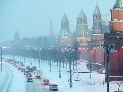 Погоды в Москве стоят роскошные, и наконец можно носить шубы с босоножками,  в лучших традициях моей любимой Керри Бредшоу, уверенна она бы… | Instagram