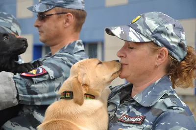 Профессиональный намордник для полицейских собак «Police Service» - M1