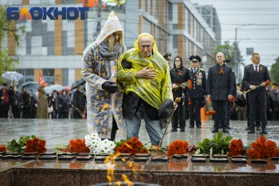 Сайт Японского сада в парке «Краснодар» упал из-за наплыва желающих: как  получить QR код и попасть в сад - 30 марта 2023 - 93.ru