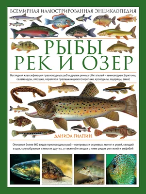 Рыба Игла необычный обитатель Волги и Камы, откуда появилась и почему у рыбы  иглы такой причудливый внешний вид, ответ ихтиолога | Заметки ихтиолога. |  Дзен