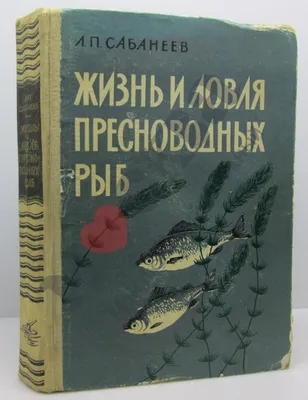 BB.lv: Где живет и как выглядит одна из самых больших пресноводных рыб на  Земле