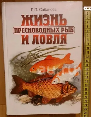 Предельный и средний возраст разных видов и популяций рыб [1974 Никольский  Г.В. - Теория динамики стада рыб как биологическая основа рациональной  эксплуатации и воспроизводства рыбных ресурсов]