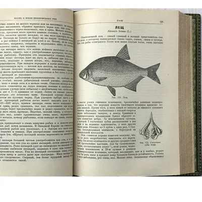 Рыбы России. Жизнь и ловля (ужение) наших пресноводных рыб - купить по  выгодной цене | #многобукаф. Интернет-магазин бумажных книг