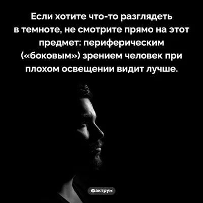 Вредно ли читать в темноте? Можно ли испортить зрение чтением в темноте? -  Чемпионат