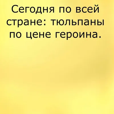 Прикольные картинки с надписями и подарки на 8 марта | Mixnews