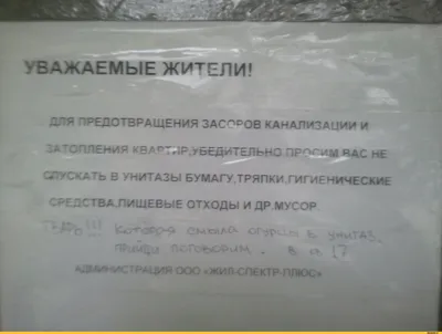 В ЧЕЛЯБИНСКОЙ ОБЛАСТИ ПОДРОСТОК ИЗБИЛ ОДНОКЛАССНИКА ЕЖОМ ДВА ПОДРОСТКА  УСТРОИЛИ ПОЕЖОВЩИНУ ПАРНЕ / челябинск :: Россия :: еж :: стендап-кот ::  смешные картинки (фото приколы) / смешные картинки и другие приколы:  комиксы,