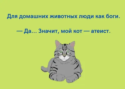 Смешные животные #3 – смотреть онлайн все 42 видео от Смешные животные #3 в  хорошем качестве на RUTUBE