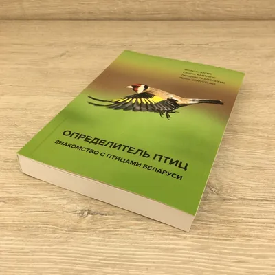 Как города изменили жизнь птиц, и другие актуальные вопросы о пернатых -  Статьи и репортажи РГО