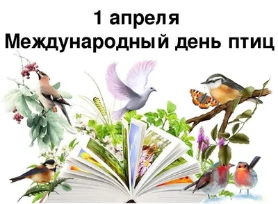 Областной экологический конкурс «Отличитесь добротой – покормите птиц  зимой!» – Новости – Окружное управление социального развития (городских  округов Люберцы, Дзержинский, Котельники и Лыткарино)