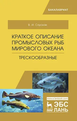 ❗Как измерить длину рыбы. Рыбаку на заметку! Белорусское общество охотников  и рыболовов напоминает, что Правилами.. | ВКонтакте