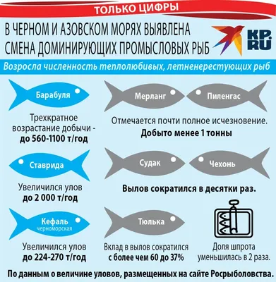 Ученые ВНИРО провели исследования промысловых видов рыб в Веселовском  водохранилище