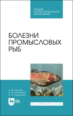 Виды рыб картинки - 62 фото