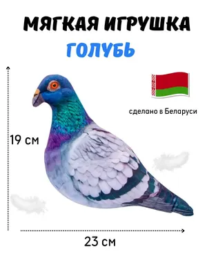 Остров Змеиный: 10 - Птицы. Голуби и горлицы - 3