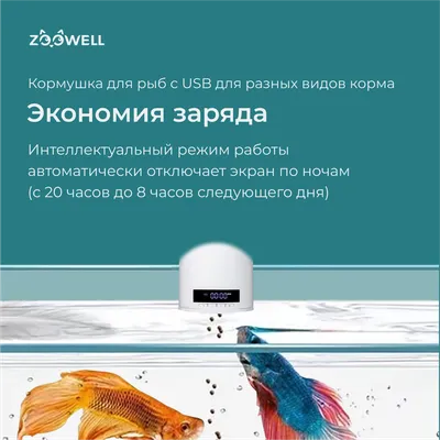 Красная икра разных рыб семейства лососевых и какая лучше? — Илья  Солдатенков на TenChat.ru