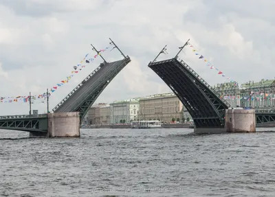 10 главных разводных мостов Санкт-Петербурга и время их развода в 2022 году  | Взял и поехал | Дзен