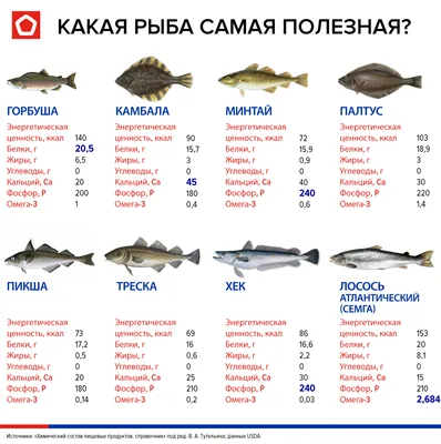 Чем опасна рыба: какие заболевания передаются с речной рыбой - 7 ноября  2021 - 74.ru