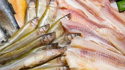 Рыбный ритейлер назвал самую бюджетную рыбу для приготовления на мангале -  Газета.Ru | Новости