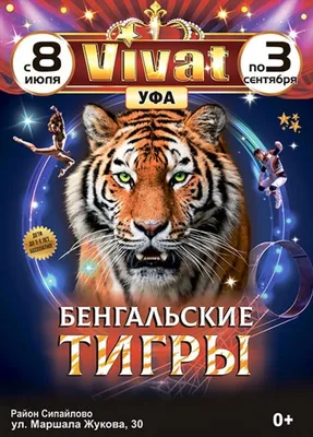 Под лозунгом «Четверть века джаза» фестиваль «Розовая пантера» в Уфе  отмечает 25-летие | «Джаз.Ру»