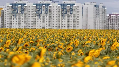 Запчасти для бытовой техники в Воронеже | БытЗапчасть