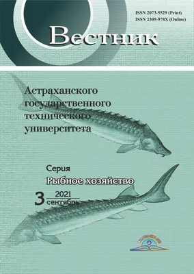 Магазин \"Морячок\" - ОХЛАЖДЁННАЯ ГОРБУША 🔮Такое случается раз в 2 года! Мы  предлагаем вам охлажденную горбушу из Белого моря, которая пришла в  специальных боксах во льду прямо с места вылова. Как такое