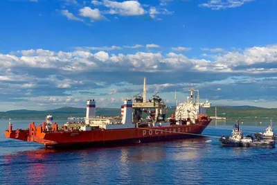 В ходе путины на Дальнем Востоке поймали более 607 тыс. тонн лососевых — РБК