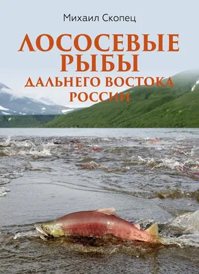 Рыбаки с Дальнего Востока впервые выловили тунца весом около 200  килограммов / VSE42.RU - информационный сайт Кузбасса.