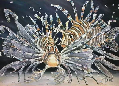 красная крылатка Pterois Volitans ядовитая рыба кораллового рифа под водой  красная крылатка Pterois Volitans рыба под водой Фото Фон И картинка для  бесплатной загрузки - Pngtree