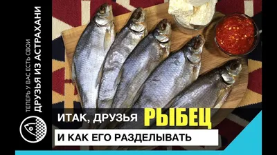 Рыбец вяленый - Океан Камчатка Сахалин - Рыба и морепродукты