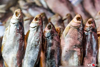 Вяленый рыбец - Fishmarket - магазин рыбы и морепродуктов