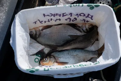Любителям рыбалки! | Пикабу