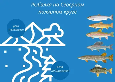 Любительская ловля рыбы в Каспийском море и спортивная рыбалка запрещены до  30 июня - АЗЕРТАДЖ