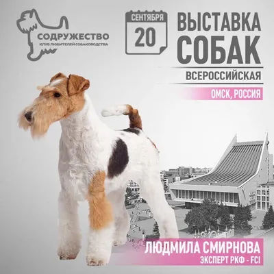 Выставки собак в Уфе 16-17 апреля | Dog Show Club