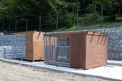 Стали известны новые сроки открытия приюта для бездомных животных в Сочи