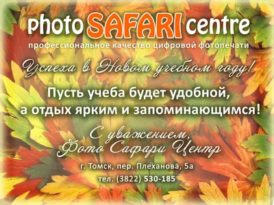 Самокат трюковой Safari red колеса 100 мм RUSH ACTION купить в Томске -  интернет магазин Rich Family