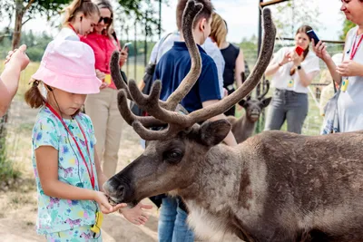 Тематический парк Safari World, Бангкок: лучшие советы перед посещением -  Tripadvisor