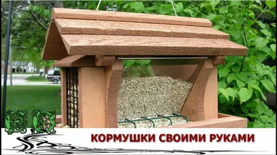 Синицы у кормушки