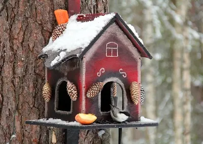 кормушка для птиц « Fotoparus