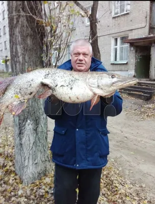 Вести с водоемов. Страница 9