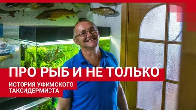 Самые страшные рыбы нашей планеты | Хайтек агрегатор