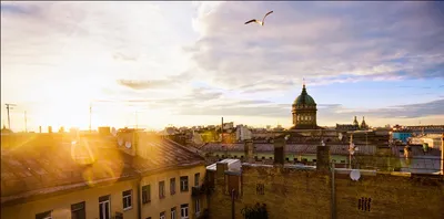 Что посмотреть и чем заняться в Санкт-Петербурге летом - погода,  достопримечательности, развлечения