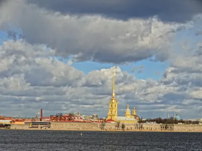 Городской пейзаж \"Санкт-Петербург зимой. Вид на Храм Воскресения Христова  на Крови\" 50x70 AR180713 купить в Москве