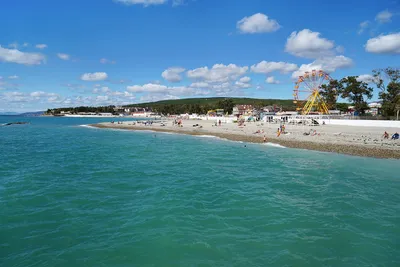 В Севастополе в Черном море появилось зеленое пятно