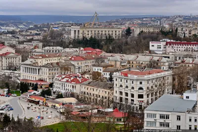 Севастополь сегодня. Карлсон вернулся