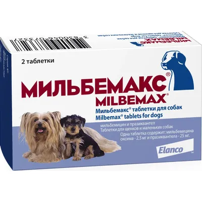 Mini Puppy Мини Паппи 800г для щенков мелких пород собак купить в Самаре.  Бесплатная доставка. rc0003 - для разных размеров