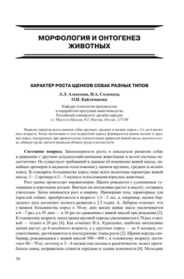 Выбор щенка. Как оценивать, на что обращать внимание?