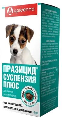 Зубы у собаки – строение челюсти и рекомендации по уходу – ProPlan.ru